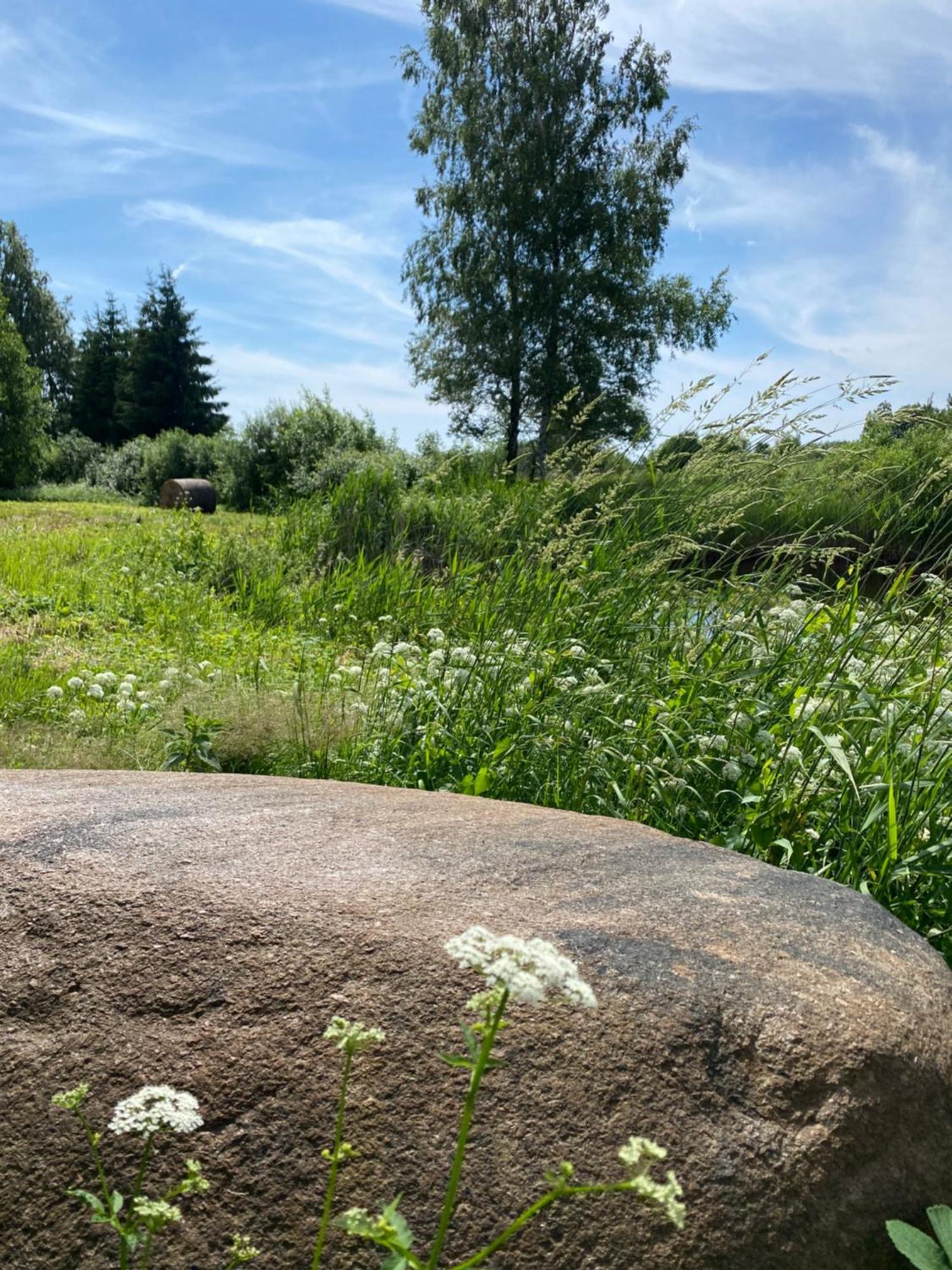 Häädemeeste Suurkivi Nature Escape מראה חיצוני תמונה