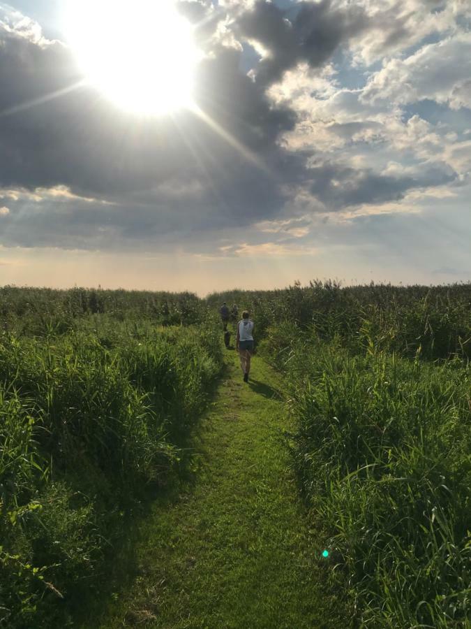 Häädemeeste Suurkivi Nature Escape מראה חיצוני תמונה
